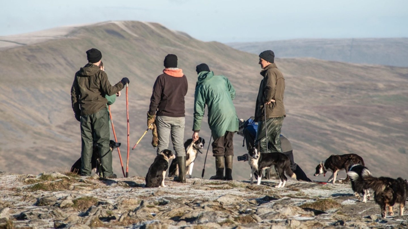 Shepherds on Ingleborough by Rob Fraser